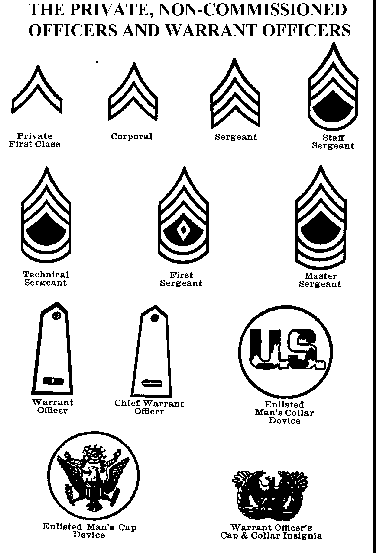 World War II army insignia